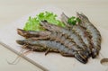 Raw tiger shrimps Royalty Free Stock Photo