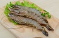 Raw tiger shrimps Royalty Free Stock Photo