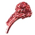 Raw tomahawk beef steak, uncooked meat ready to cook, close up, top view, isolated, hand drawn watercolor illustration