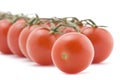 Raw tomato macro