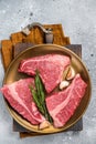 Raw Topside sirloin beef cut on steel plate with spices. Gray background. Top view