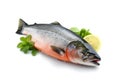 Raw trout isolated. Fresh cutthroat, steelhead fish, whole rainbow trout, trutta, fario