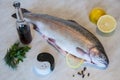 Raw trout with red vine, slices of lemon, bunch of greens, pepper and salt on a marble background. Fresh fish dish.