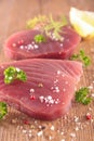 Raw tuna fish Royalty Free Stock Photo