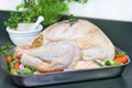 Raw turkey, dressed and ready to go into the oven. Royalty Free Stock Photo
