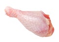 Raw turkey drumstick Royalty Free Stock Photo