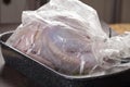 Raw Turkey ready to go into oven Royalty Free Stock Photo