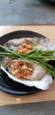 Raw of two Oyters with fried garlic. Royalty Free Stock Photo