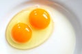Raw two-yolk egg on the plate Royalty Free Stock Photo
