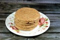 Raw uncooked beef burger ready to be cooked and fried in shallow oil, Fast food, Junk food concept, Home made fast food, selective Royalty Free Stock Photo