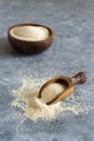 Raw uncooked fonio seeds with a spoon in a bowl on grey background Royalty Free Stock Photo