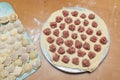 Raw uncooked homemade dumplings on a cutting board. Process of making meat dumplings. Ravioli maker Royalty Free Stock Photo