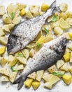 Raw uncooked lunch - spiced potatoes, sage, lemon and dorado on a baking sheet, top view