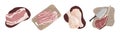 Raw uncooked meat, pork fillet, bacon slices, chicken legs, ham hough, beef gammon, delicious barbecue ingredients set Royalty Free Stock Photo