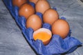 Raw uncooked orange yolk in shell near brown chicken eggs in rows in purple tray
