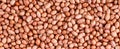 Raw uncooked peanut food background. Healthy Organic peanuts background. A lot of peeled peanuts