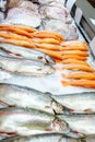 Raw uncooked salmon, red fish lying in ice on a supermarket counter. Fresh fish caught for sale Royalty Free Stock Photo