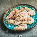 Raw uncooked tiger prawns on chipped ice in blue tray Royalty Free Stock Photo