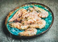 Raw uncooked tiger prawns on chipped ice, concrete background Royalty Free Stock Photo
