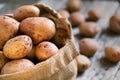 Raw potatoes in a burlap sack on the rough wooden boards close up Royalty Free Stock Photo