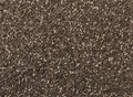 Raw, unprocessed, dried black chia seeds frame filling texture