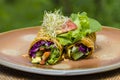 Raw vegan carrot and cumin wrap roll stuffed with shred lettuce, tomato, avocado, spinach and savory zucchini hummus