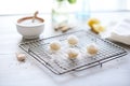 raw vegan cheesecake bites on a cooling rack with powdered sugar