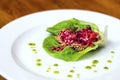 Raw vegan meal - lettuce tacos with taco nut meat and mixed salad filling Royalty Free Stock Photo