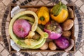 Raw healthy ripe vegetables in a box Royalty Free Stock Photo