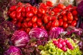 Raw Vegetables - Tomatoes, Radishes, Salad