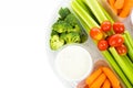 Raw Veggie Tray Royalty Free Stock Photo