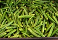 raw vegtable okra