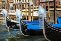 Raw of Venetians gondolas