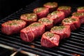 raw venison steaks on grill before cooking process Royalty Free Stock Photo