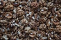 Raw walnut kernels texture