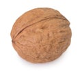 Raw walnut on white background