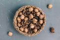 Walnuts in shell and pine cones in basket as Christmas table decoration Royalty Free Stock Photo