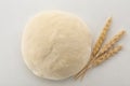 Raw wheat dough and spikes on white backgroun