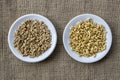 Raw wheat germ and buckwheat seeds on two plates Royalty Free Stock Photo