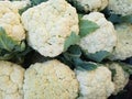 Raw white cauliflower. Healthy & vegetarian food. Group of raw cauliflowers Royalty Free Stock Photo