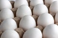 Raw white chicken eggs in carton tray pattern, Close-up, selective focus Royalty Free Stock Photo