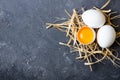 Raw white farm chicken eggs with egg yolk Royalty Free Stock Photo