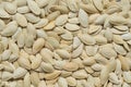 Raw white pumpkin seeds, top view, abstract background Royalty Free Stock Photo