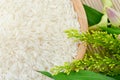 Raw white rice in a bowl - top view Royalty Free Stock Photo