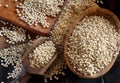 Raw White Sorghum grain Royalty Free Stock Photo