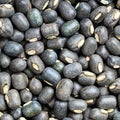 Raw whole black urad beans close up