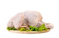 Raw whole chicken Royalty Free Stock Photo