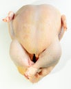 Raw whole chicken in top view with white background Royalty Free Stock Photo