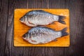 Raw whole cleaned from scales, fish river carp Royalty Free Stock Photo