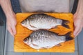 Raw whole cleaned from scales, fish river carp Royalty Free Stock Photo